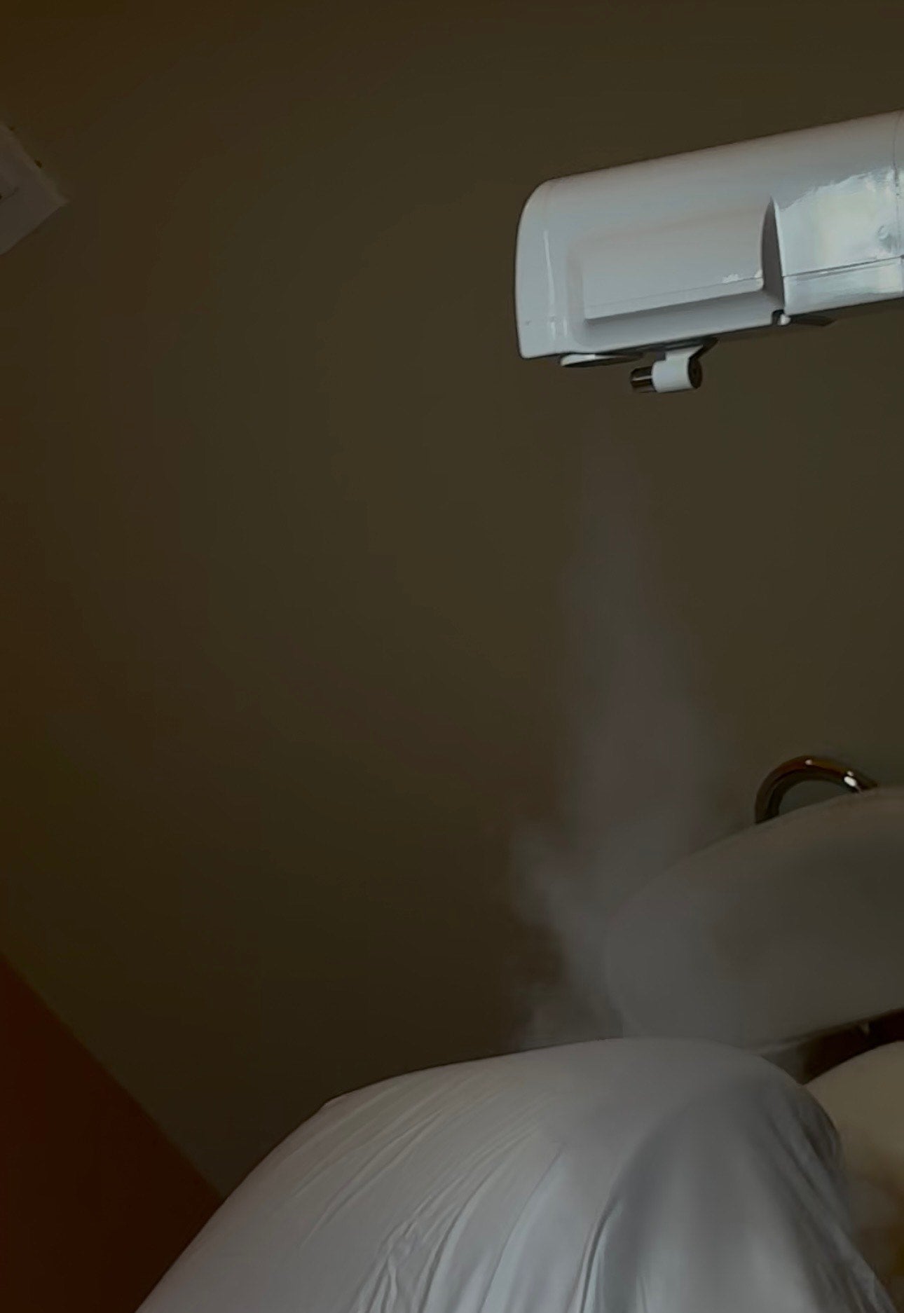 First Time Client Facial